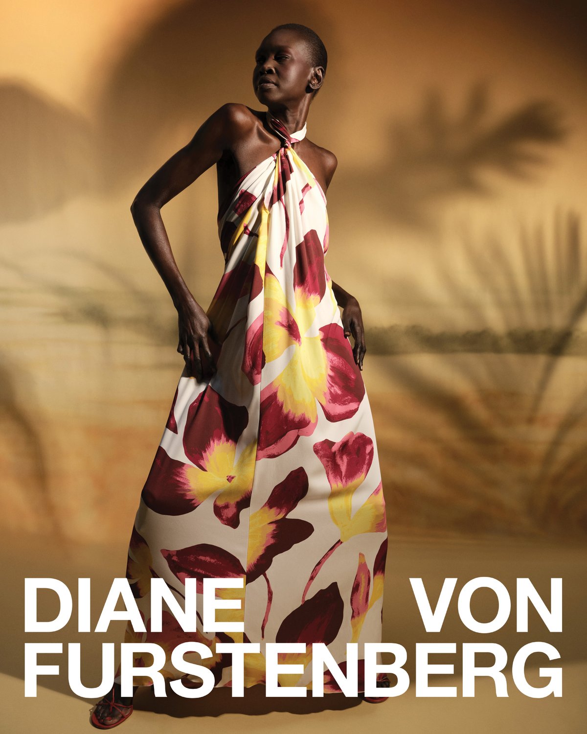 Diane von furstenberg - brianna capozzi