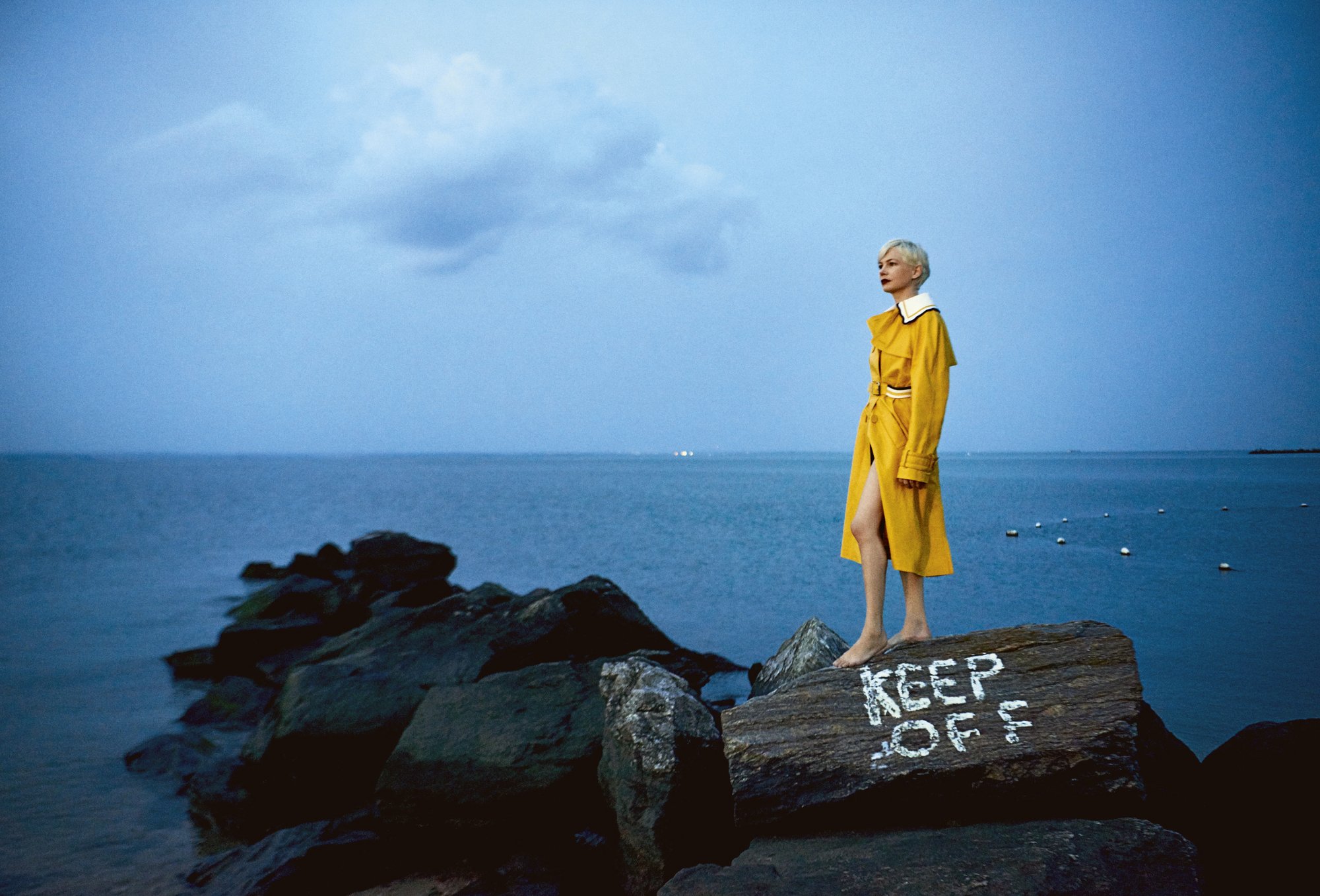 PORTER FT. MICHELLE WILLIAMS - Ryan McGinley