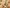 Goop