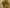 Goop