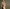 So It Goes x Julia Garner - Amanda Charchian
