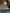 NINA FREUDENBERGER ARCHITECTURAL DIGEST - CHRIS MOTTALini