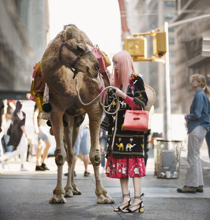 KATE SPADE - RYAN MCGINLEY