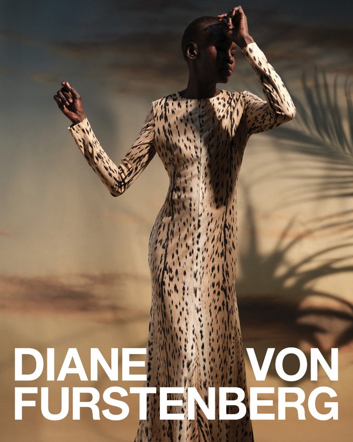 Diane von furstenberg - brianna capozzi