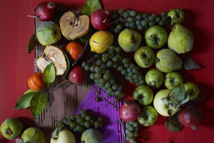 Fruits & Vegetables - Chris Mottalini
