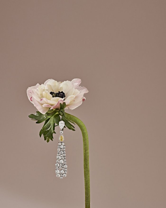 Diamond Producer Association