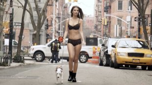 DKNY - Jacques Naude